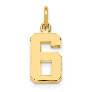 14k yellow gold small polished number 6 charm